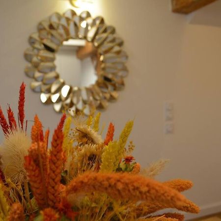 Charmant Appartement - Proche Chateau Cite Carcassonne Bagian luar foto