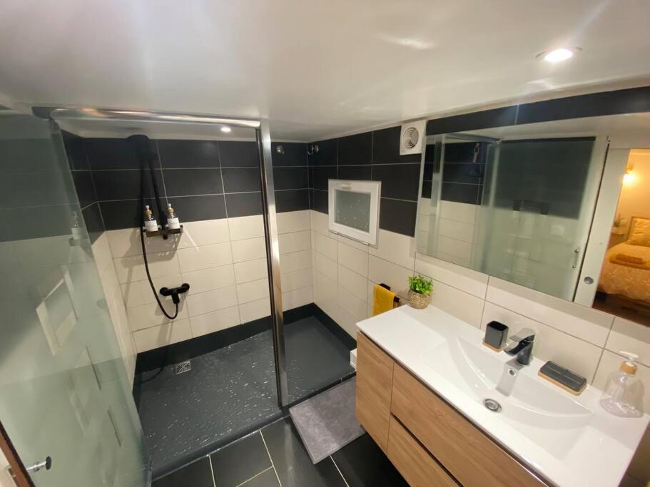 Charmant Appartement - Proche Chateau Cite Carcassonne Bagian luar foto