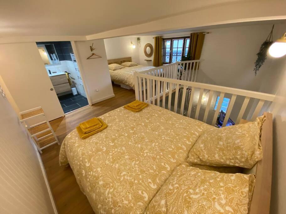Charmant Appartement - Proche Chateau Cite Carcassonne Bagian luar foto