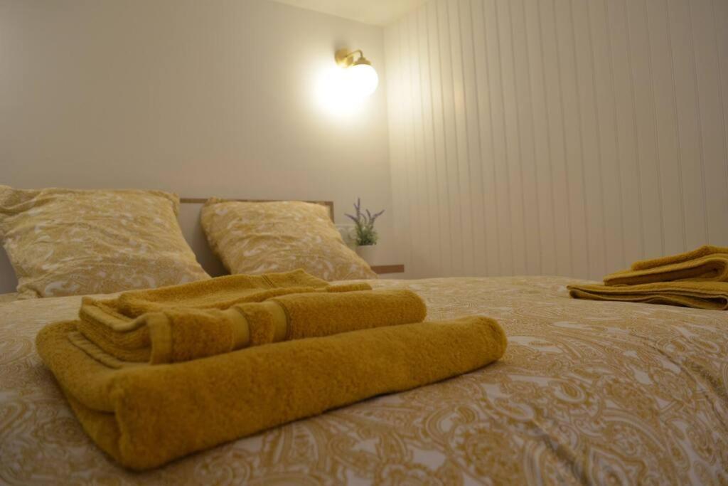 Charmant Appartement - Proche Chateau Cite Carcassonne Bagian luar foto