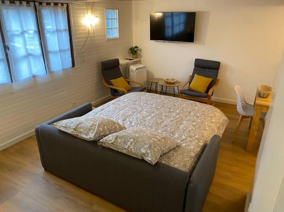 Charmant Appartement - Proche Chateau Cite Carcassonne Bagian luar foto
