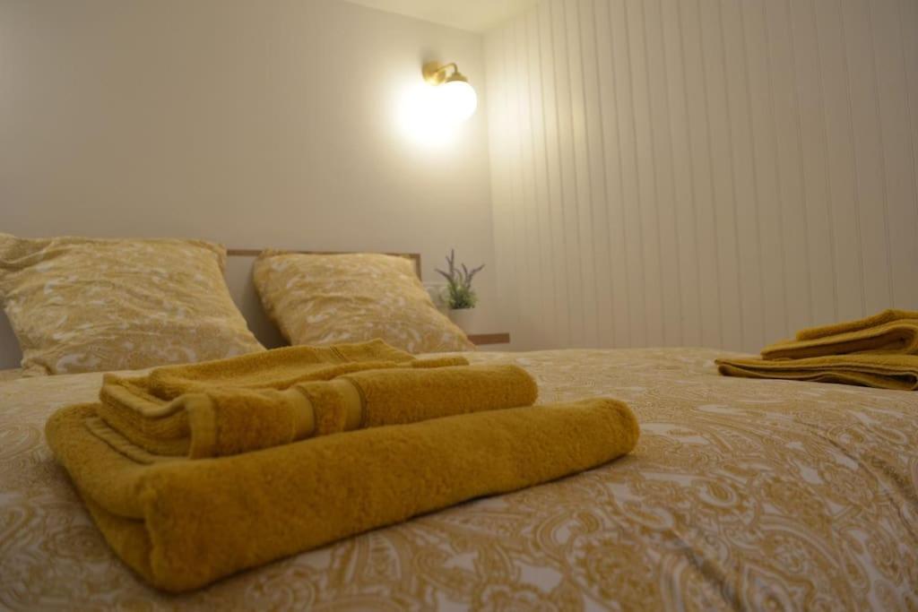 Charmant Appartement - Proche Chateau Cite Carcassonne Bagian luar foto
